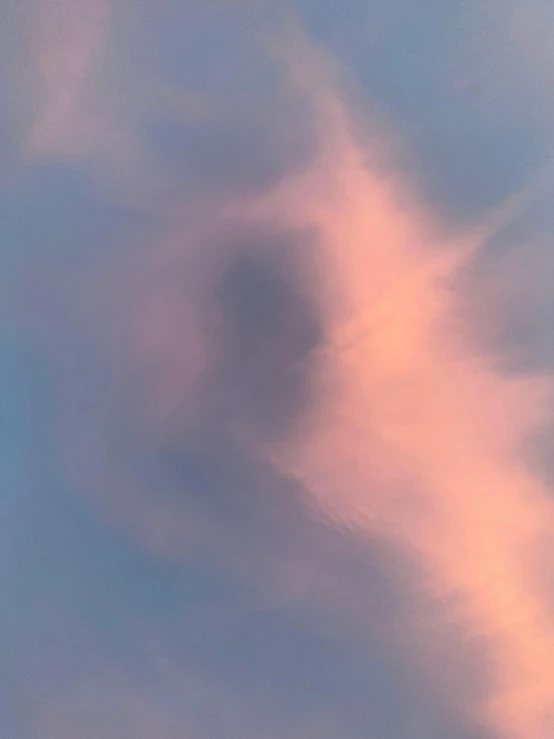 a cloud filled with a bird flying over