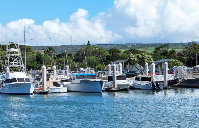 several boats sitting parked at a marina near a hillside