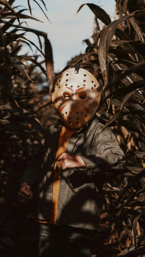 a person in a costume wearing a mask is standing in a field