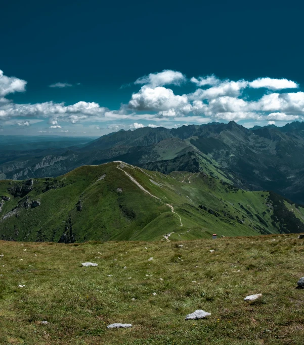 a man in a white shirt and black shorts on top of a mountain