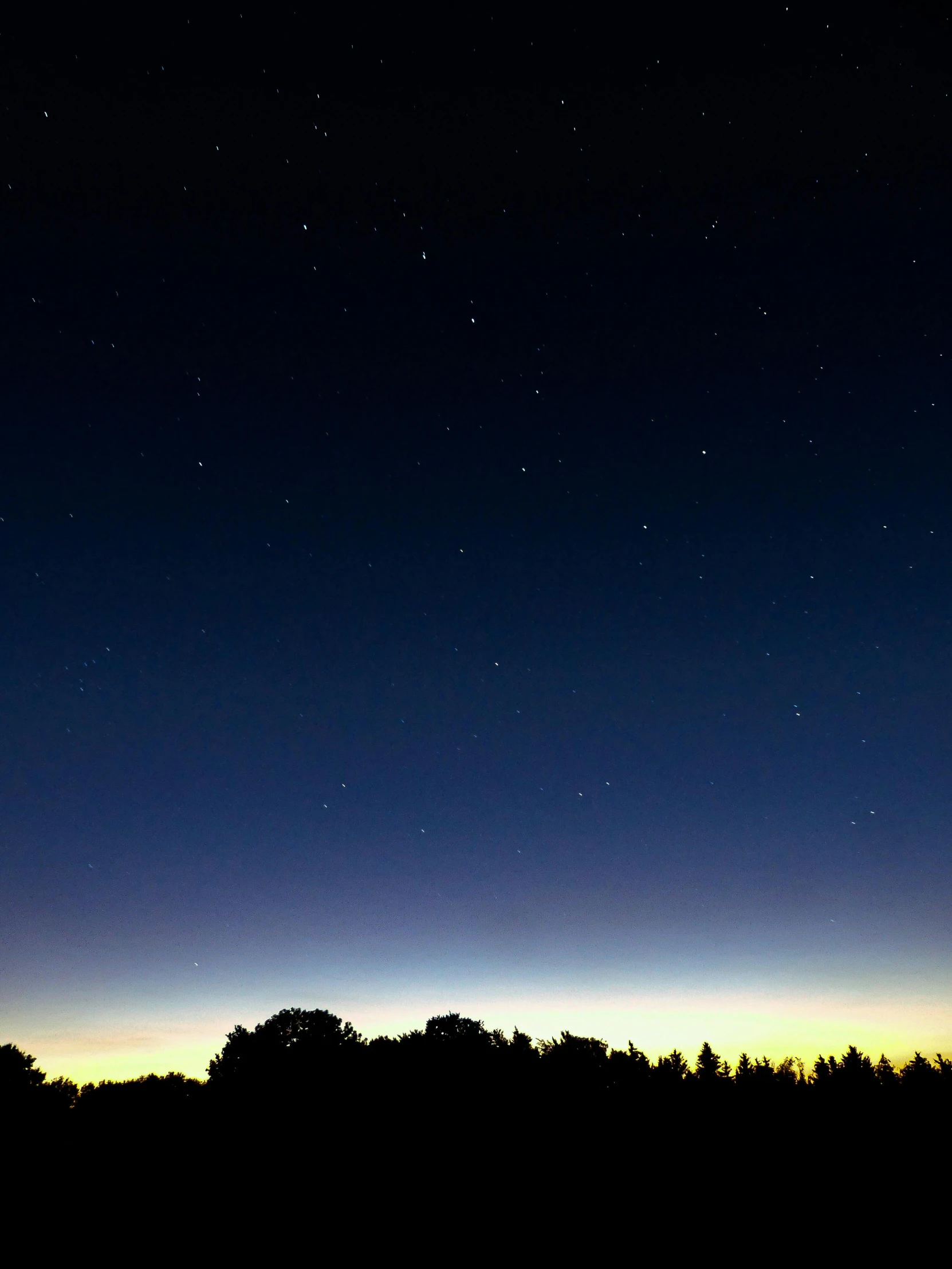 the sky is almost as clear as the tree tops