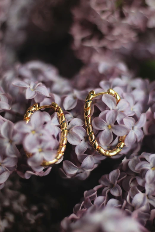 some purple flowers and a pair of earrings