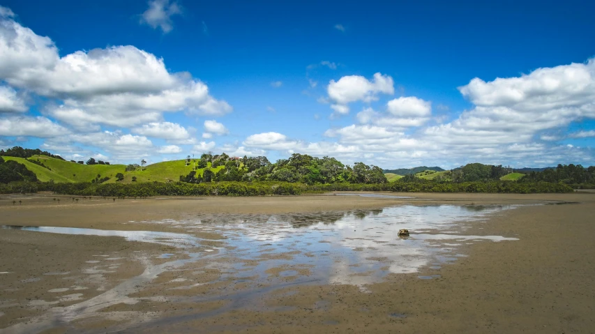 the ocean shore has low tide on it