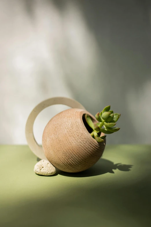 a green plant in a clay container with two fingers touching it