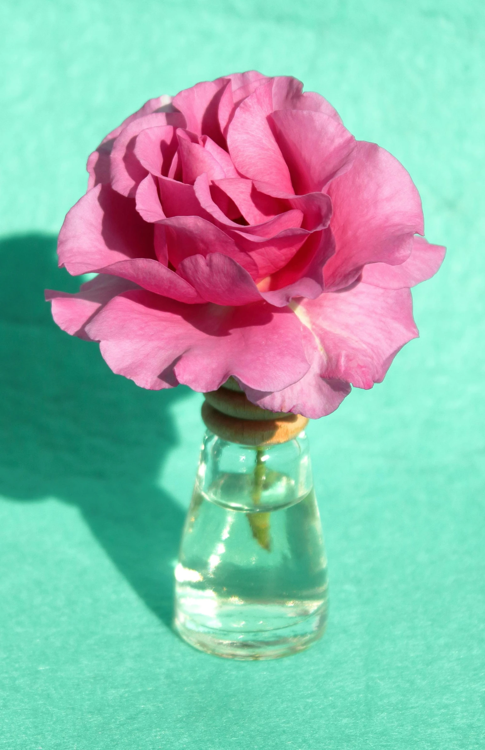 a pink rose is sitting in a small vase