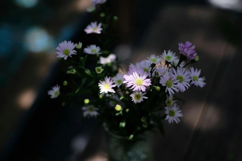 a bunch of daisies are in a clear vase