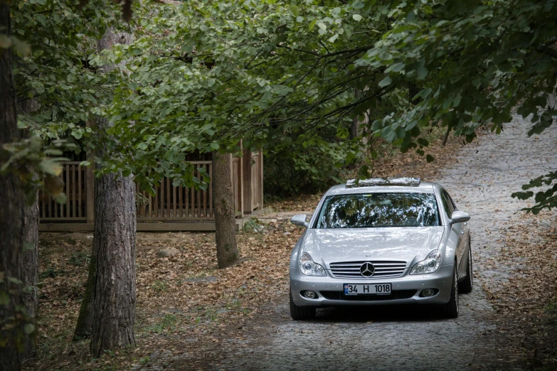 a silver mercedes benz sits on a wooded road