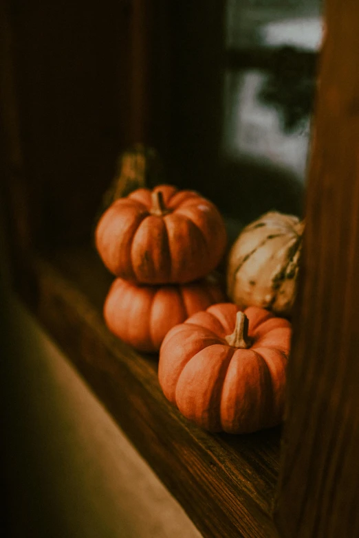 an array of pumpkins sit on a ledge in a dimly lit window