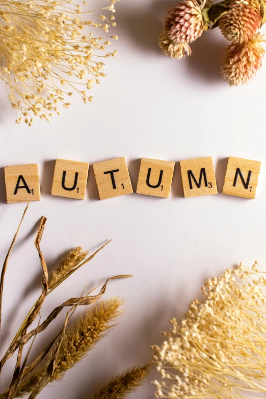 the word autumn spelled in small letter tiles
