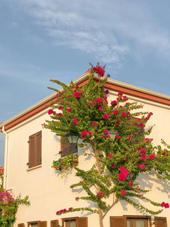 a building with many windows and plants on it