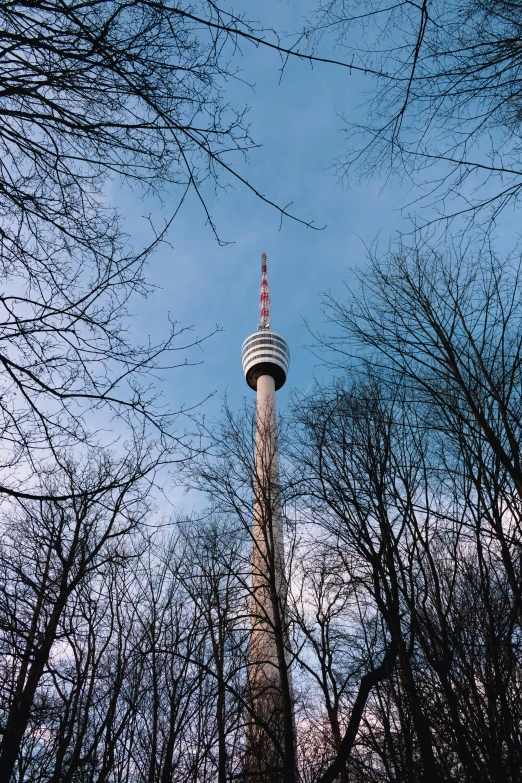 the tall tower is in the middle of trees