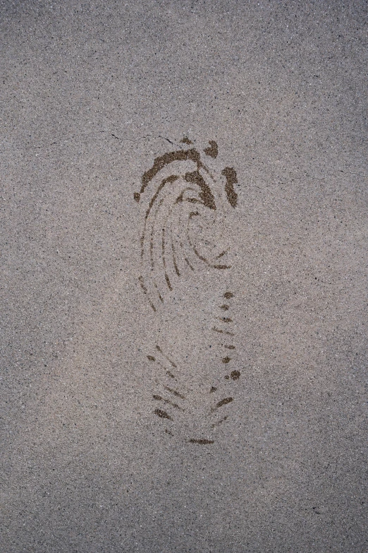 an abstract drawing in sand next to the ocean