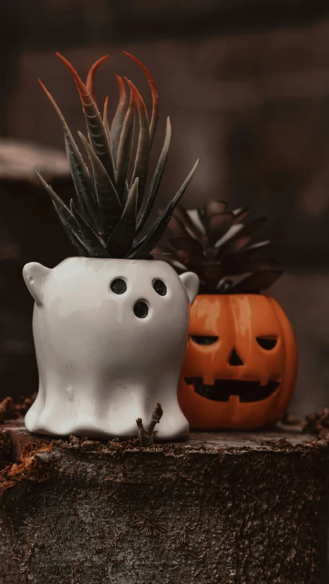 a couple of pumpkins that are on some wooden