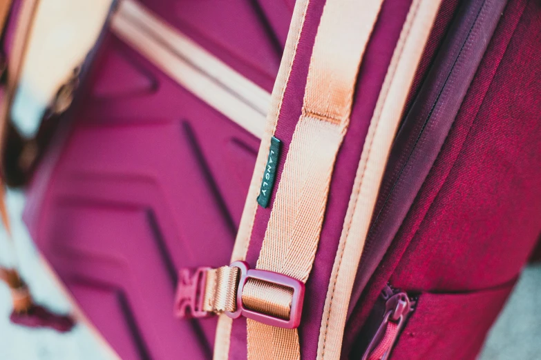 close up of a purple and pink piece of luggage
