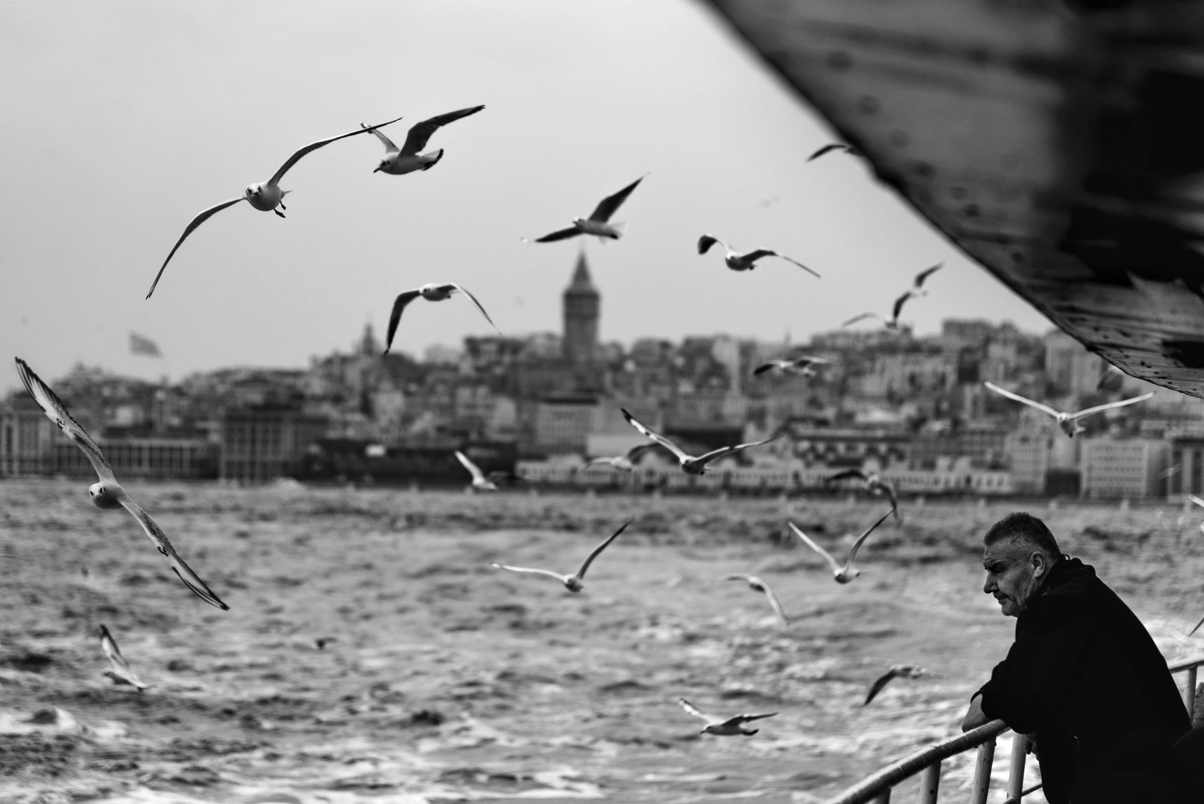 a man watching seagulls fly around by the beach