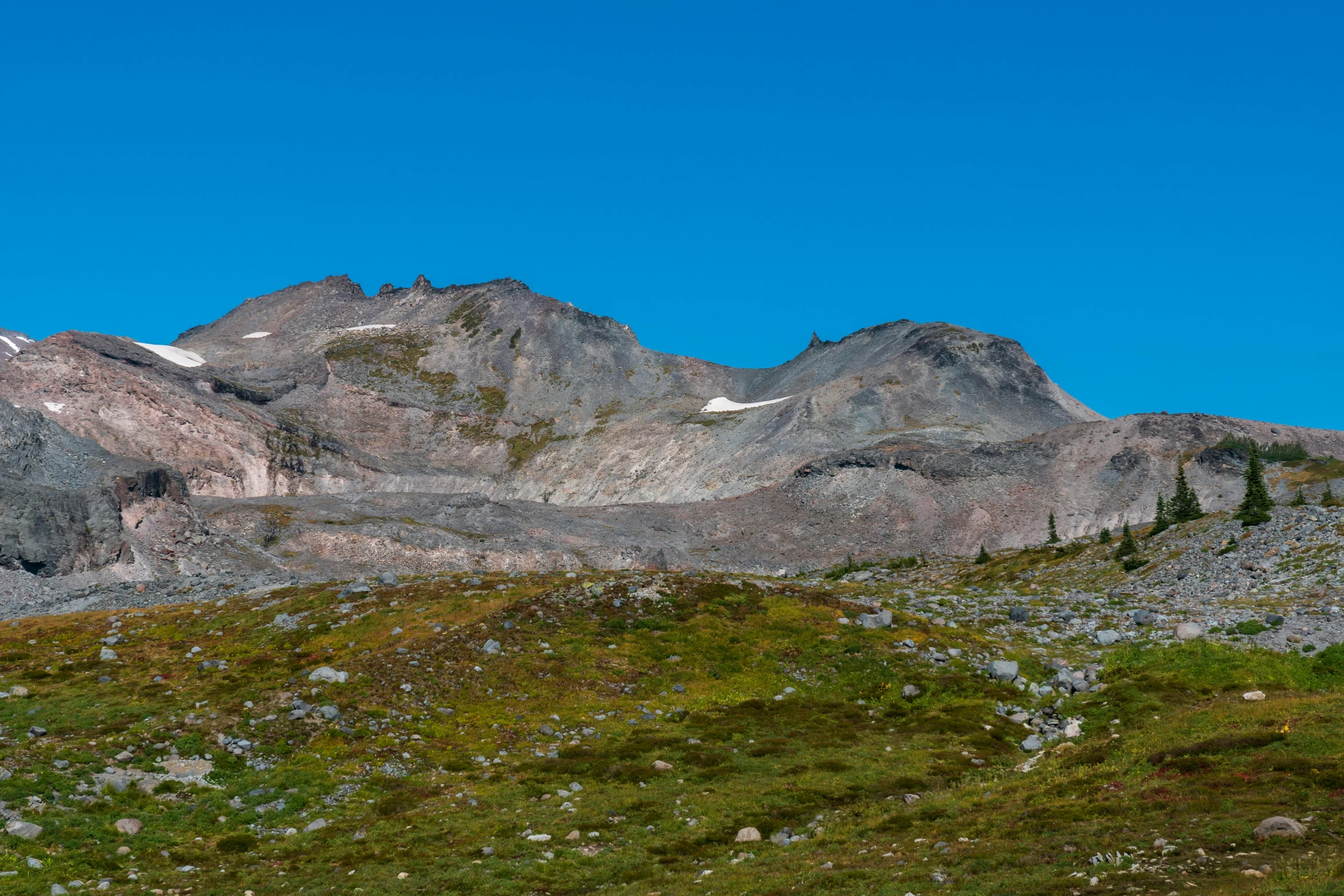 a grassy field and mountain with some trees