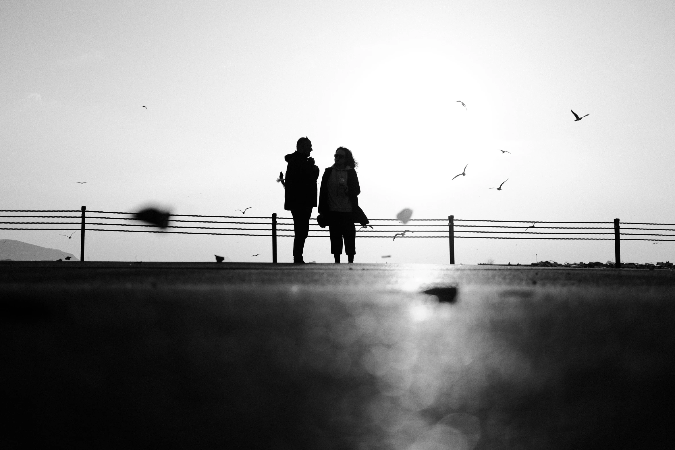 a couple is walking together with a bird flying by them