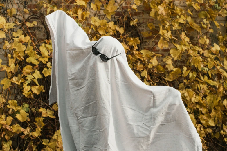 a fake ghost with eyes hiding in a sheet of cloth