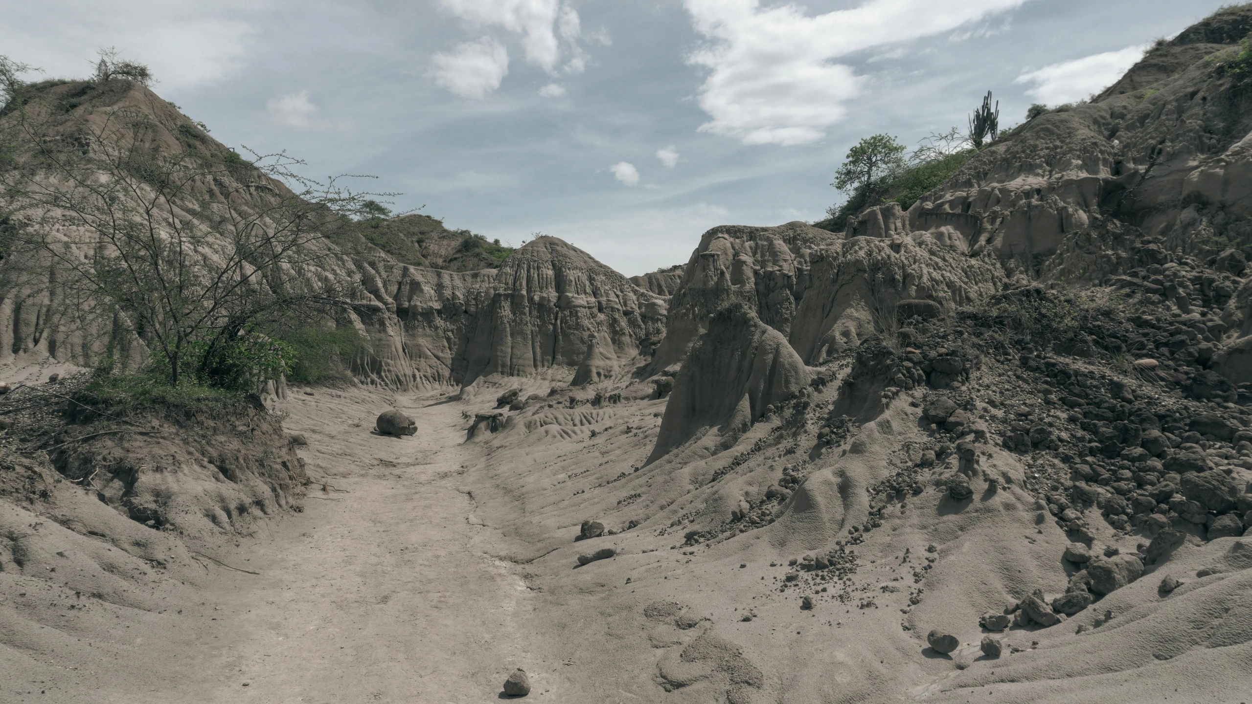 a dirt road through a beach with very low rocks and trees