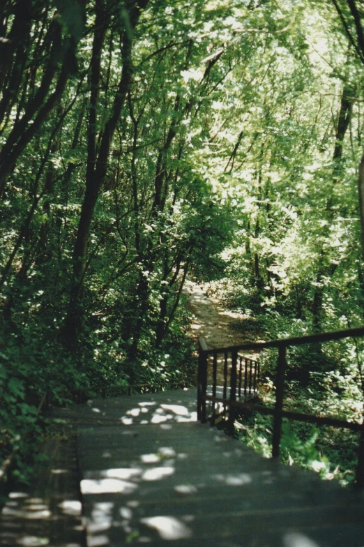 the view looking down at a forest of trees