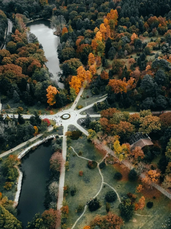 aerial view of a street intersection with trees in the background