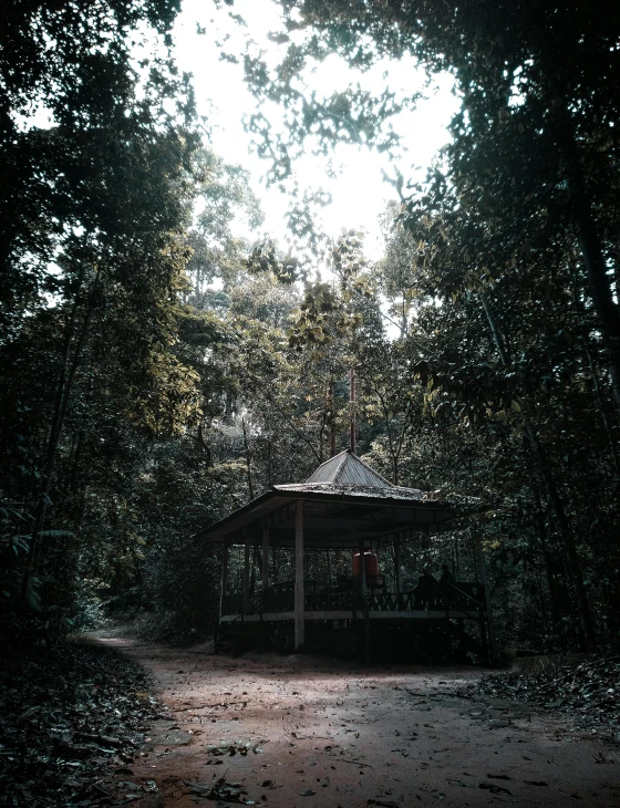 there is a small shelter in the woods