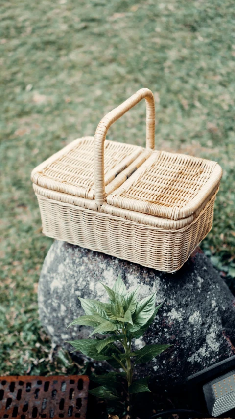 a baby's stroller sitting on a rock in the grass