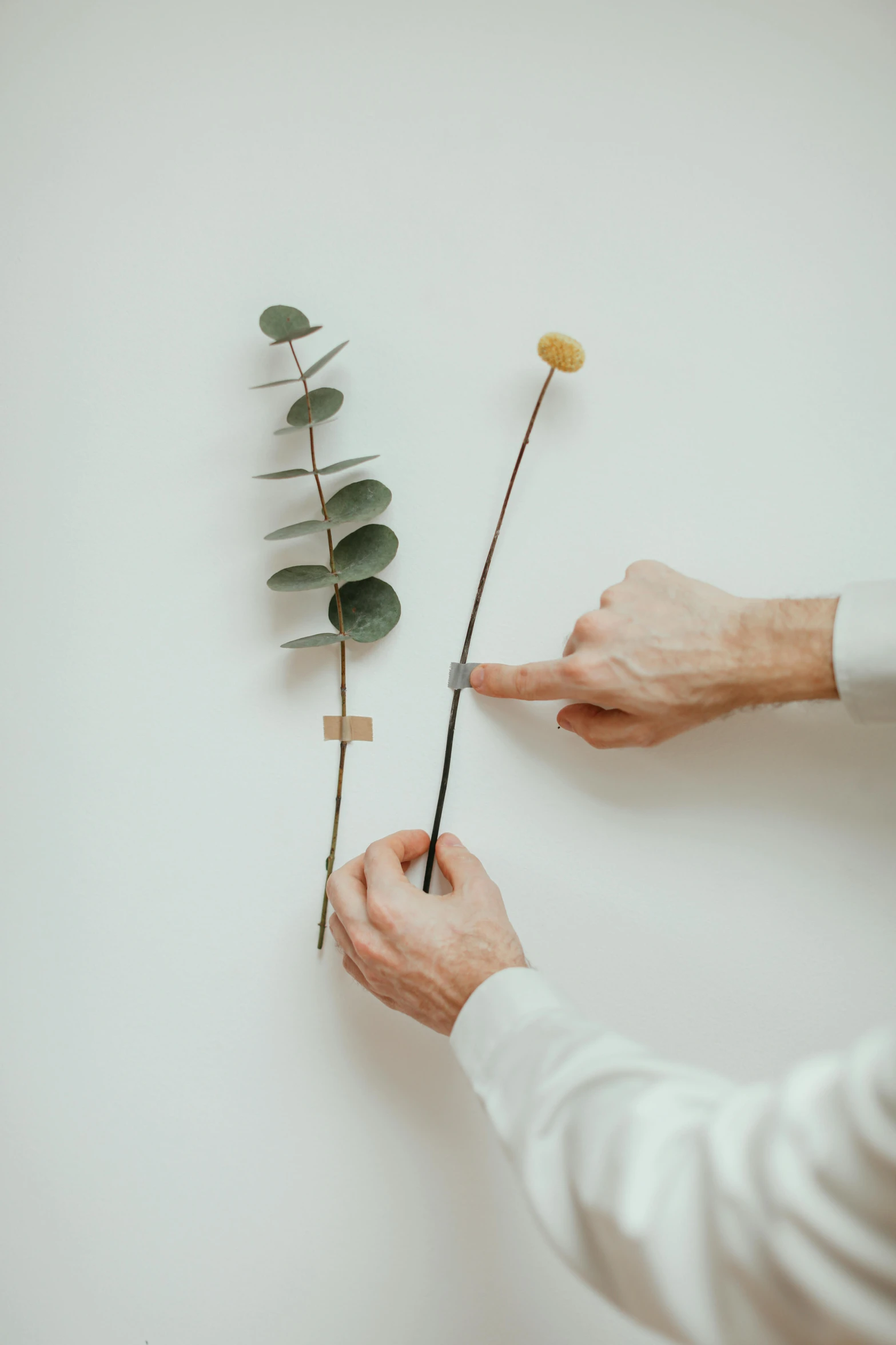 two people placing stems on top of each other with their fingers