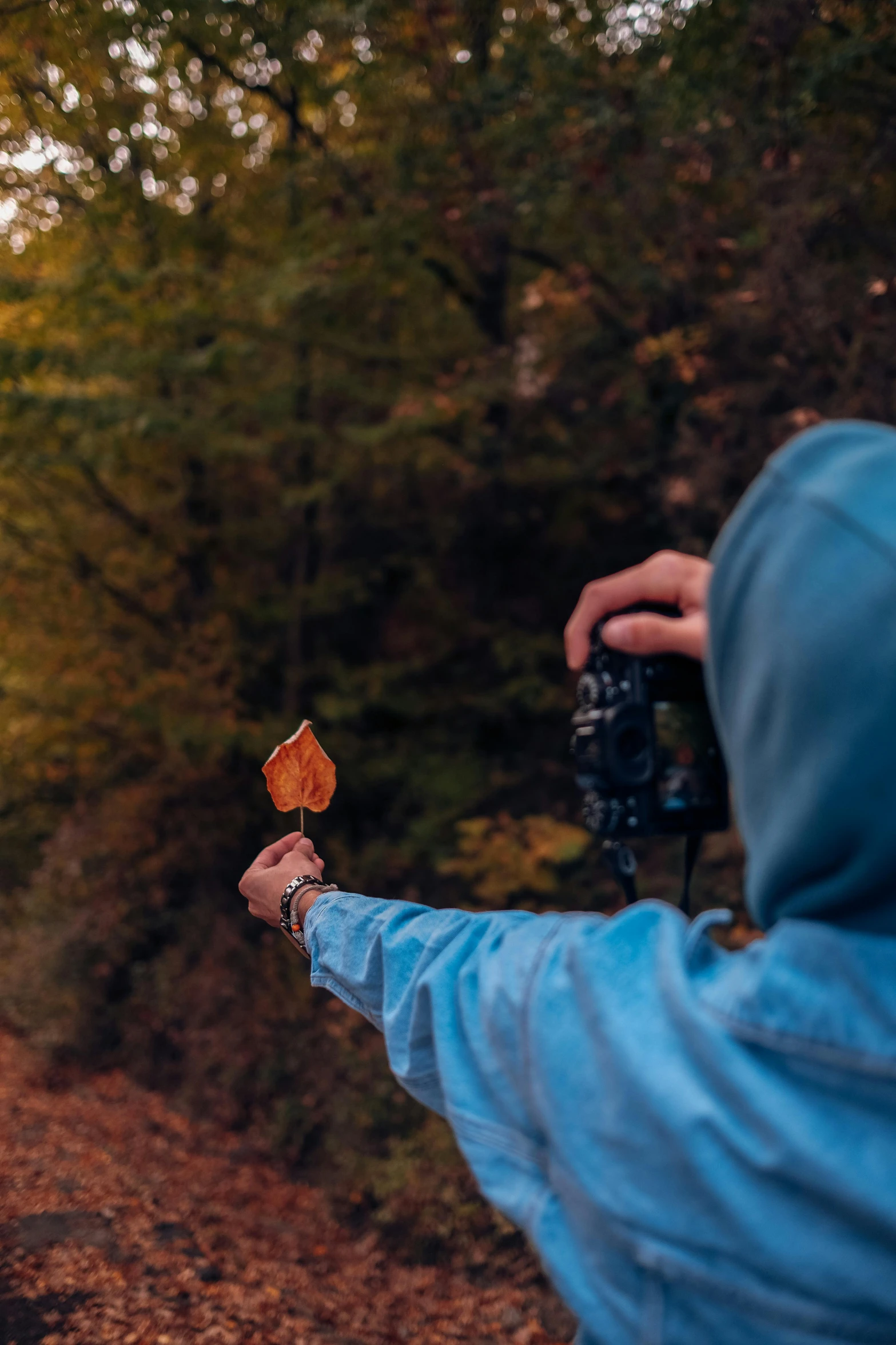 a person holding a camera pointed at a leaf in the forest