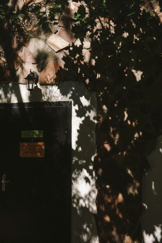 tree shadows on the walls in the daytime