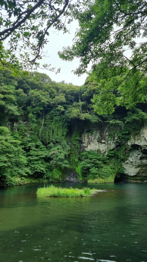 a large body of water surrounded by lush green trees