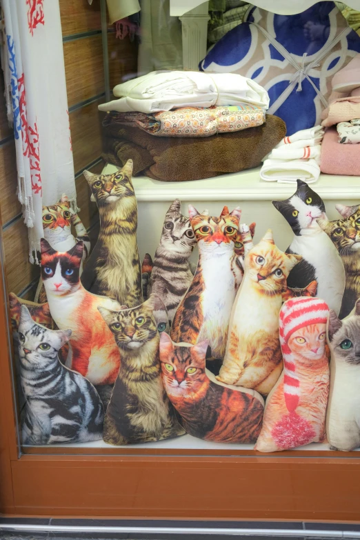 a glass display of cat sock holders in a shop