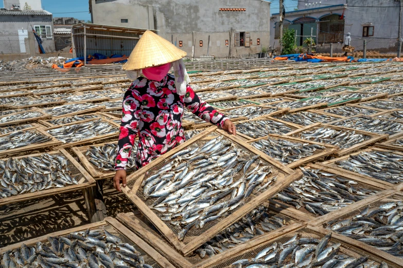 a person in a hat standing inside of an ocean filled with fish