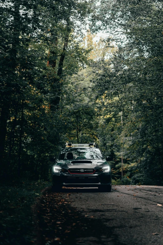 a car driving down the road in the forest