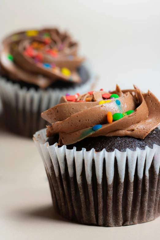 a chocolate cupcake with icing and sprinkles