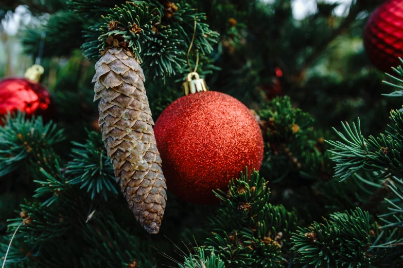 two red ornaments and a pine cone on top of christmas tree