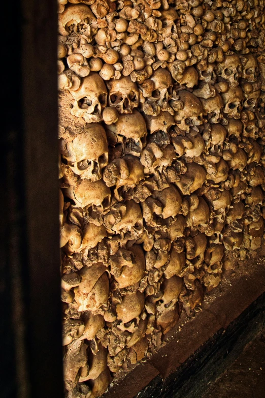 a bunch of skulls in a room