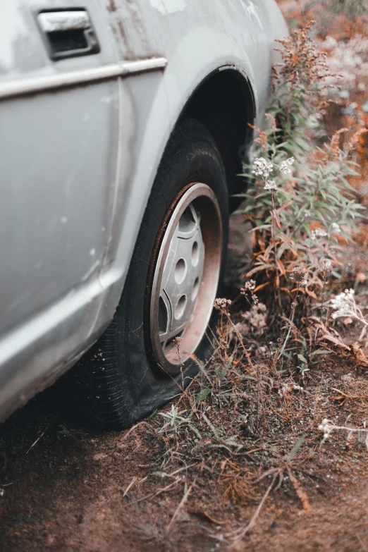 the tire of a car is near some plants