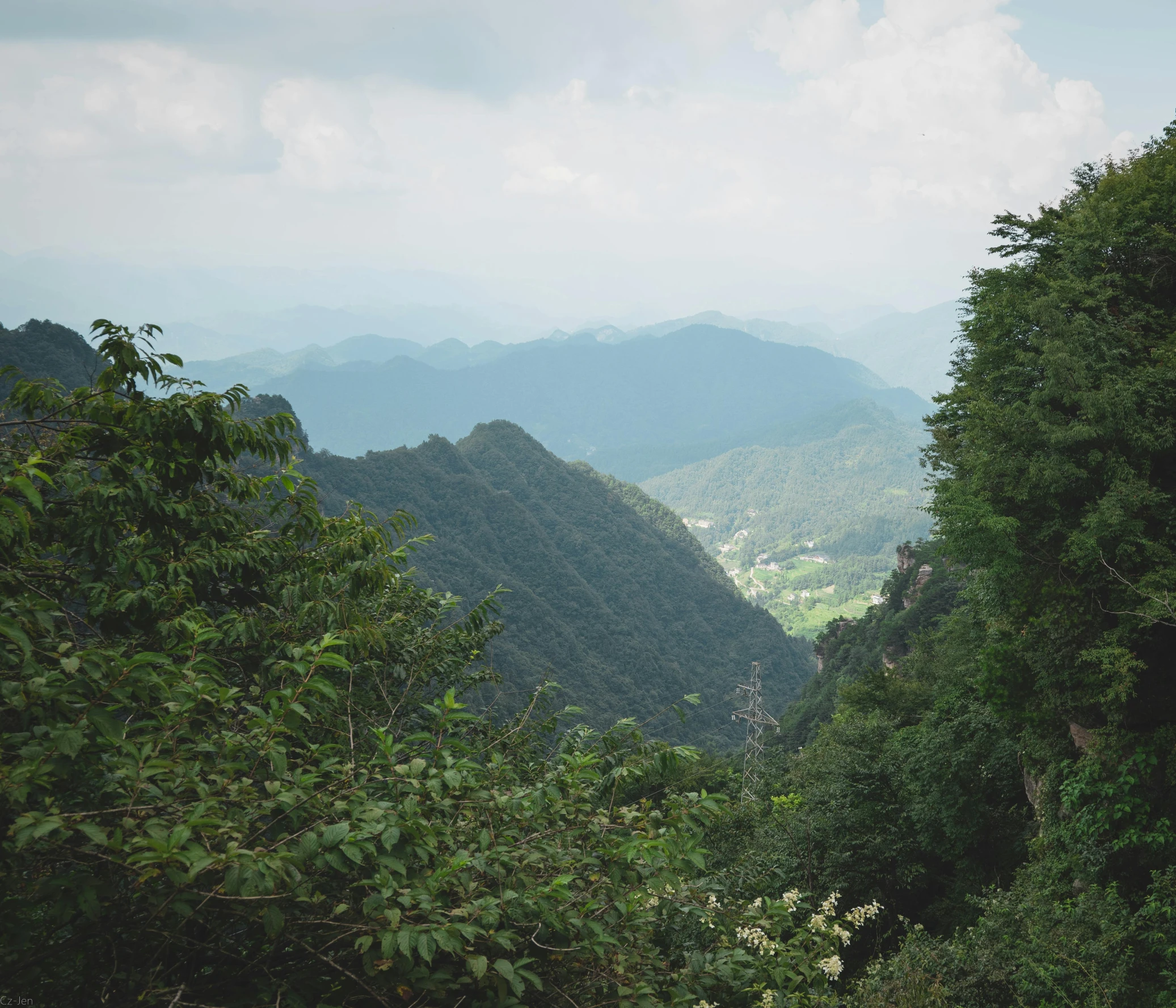 a view of some mountains from an area near the forest