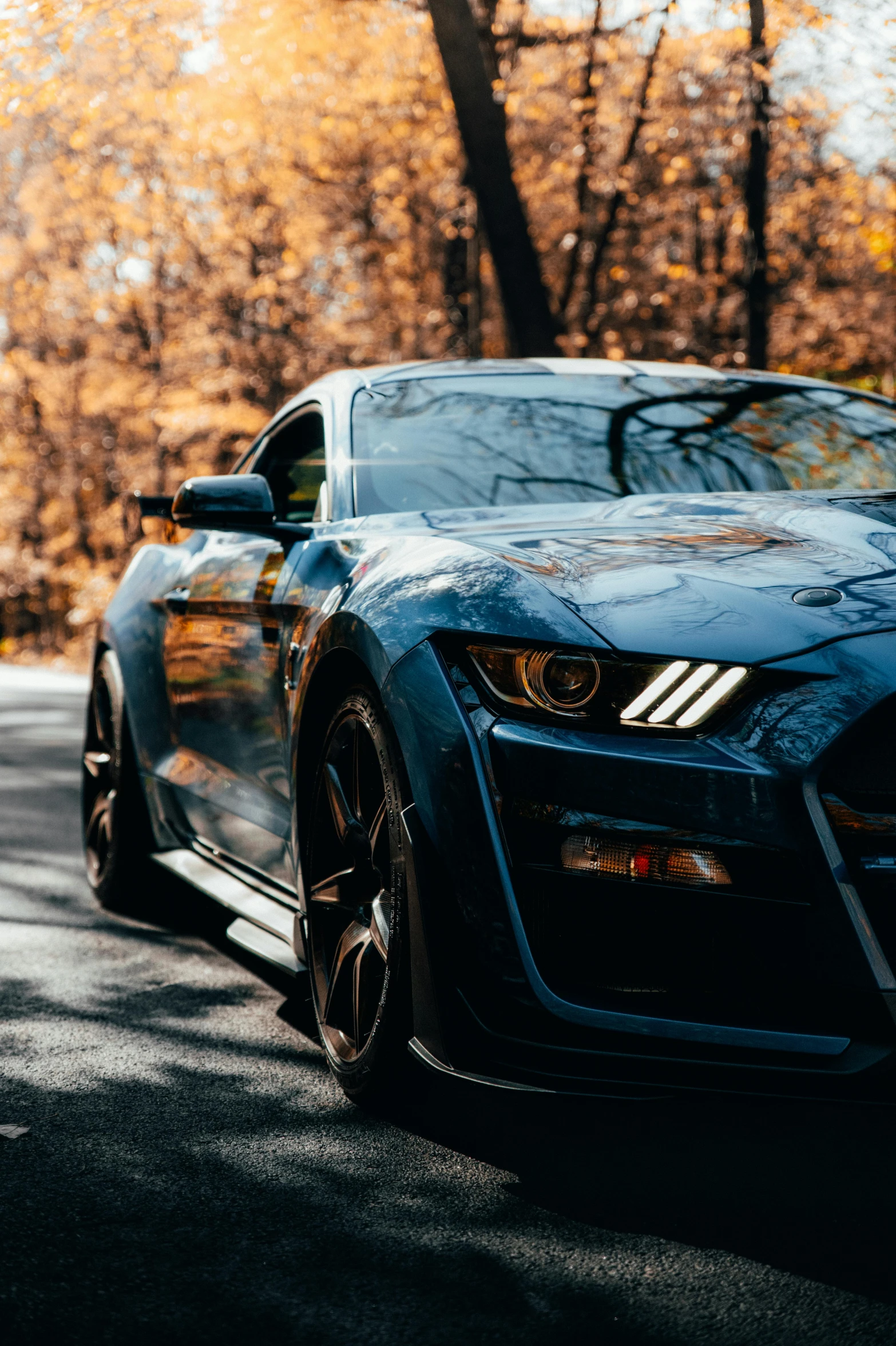 a sleek car sits parked in front of a leaf covered forest