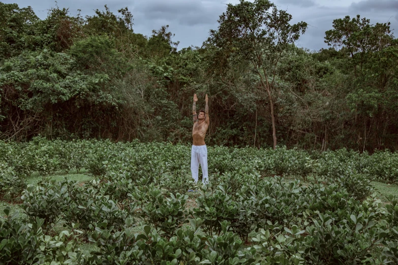 shirtless man standing in middle of large green field