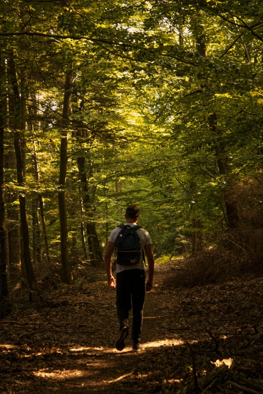 man walking through an area of a green forest