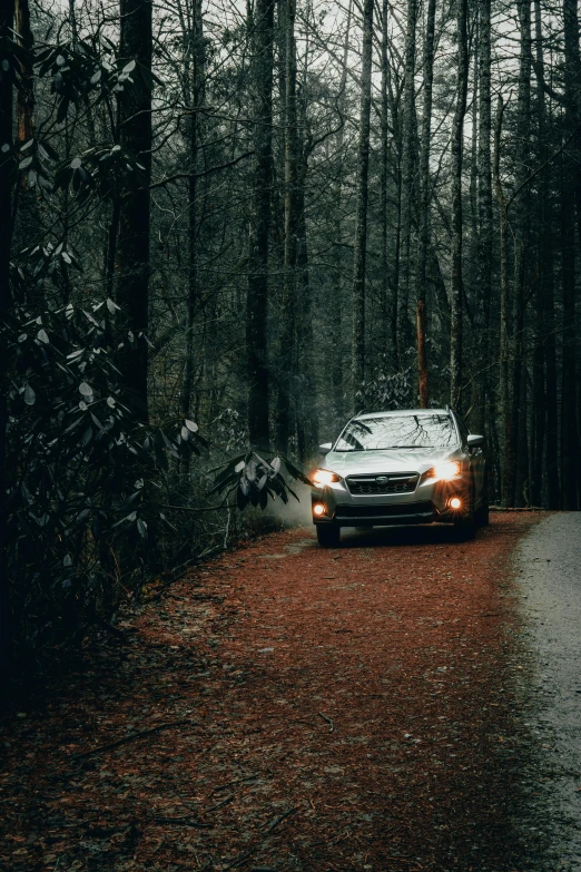 the car is parked in the dark in the woods