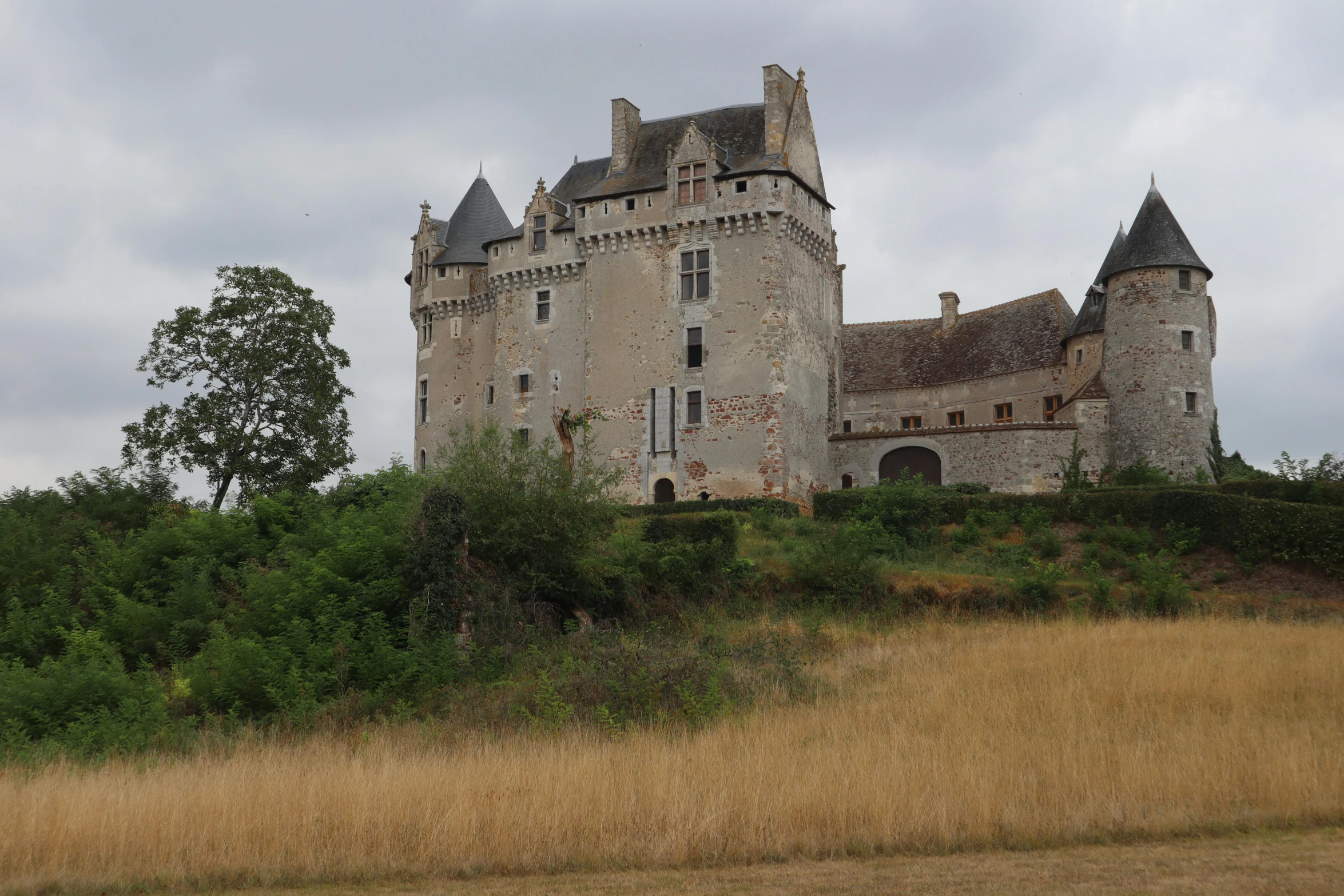 a castle with towers that are standing in a field