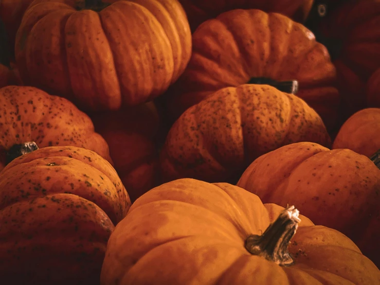 a pile of pumpkins are stacked next to each other