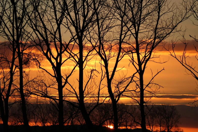 the sun sets in the distance behind bare trees