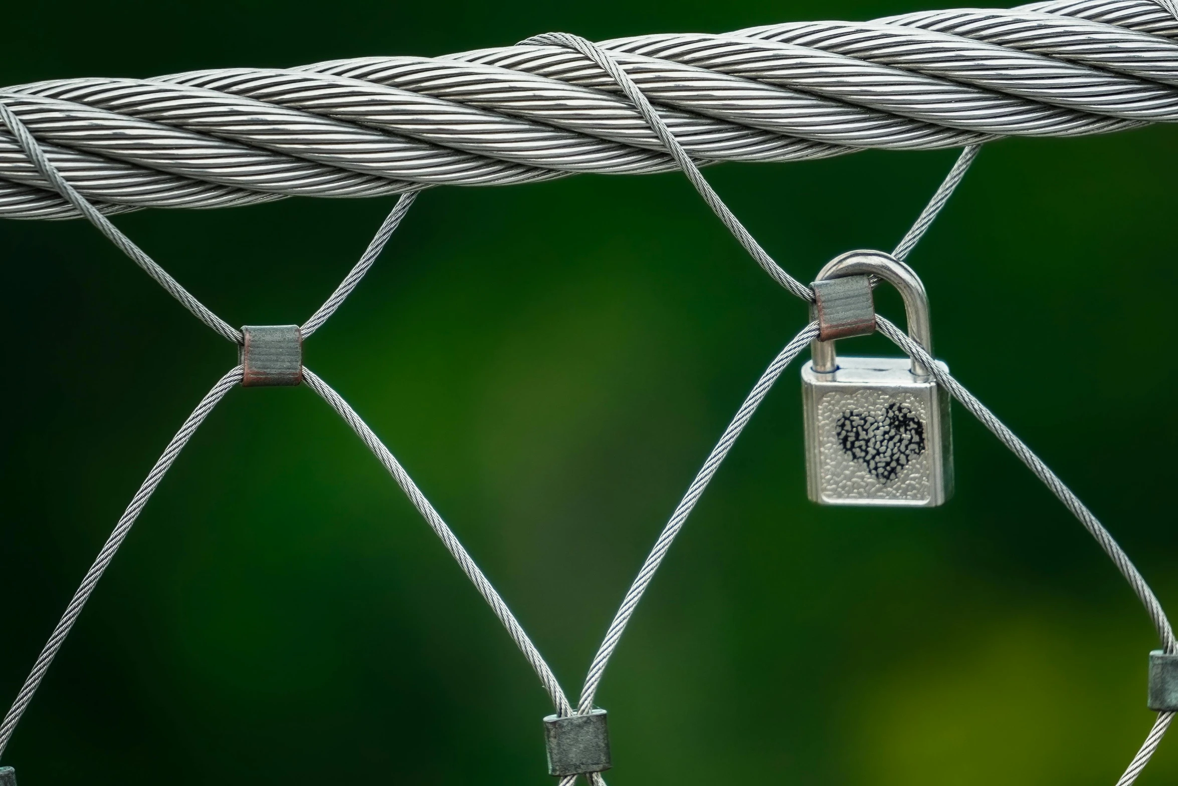 several pieces of string attached to a wire