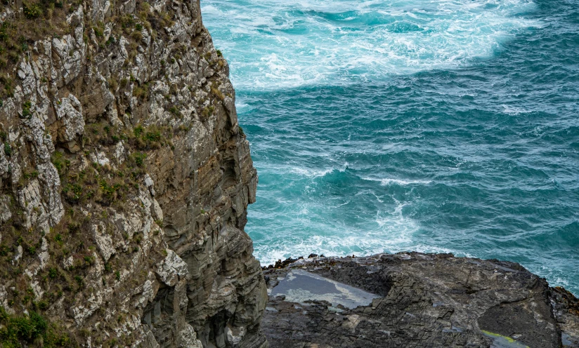 a small bird sitting on a rock cliff near the ocean