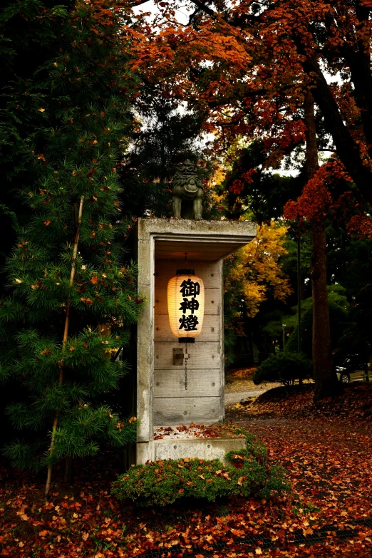a wooden outhouse surrounded by colorful trees in the fall