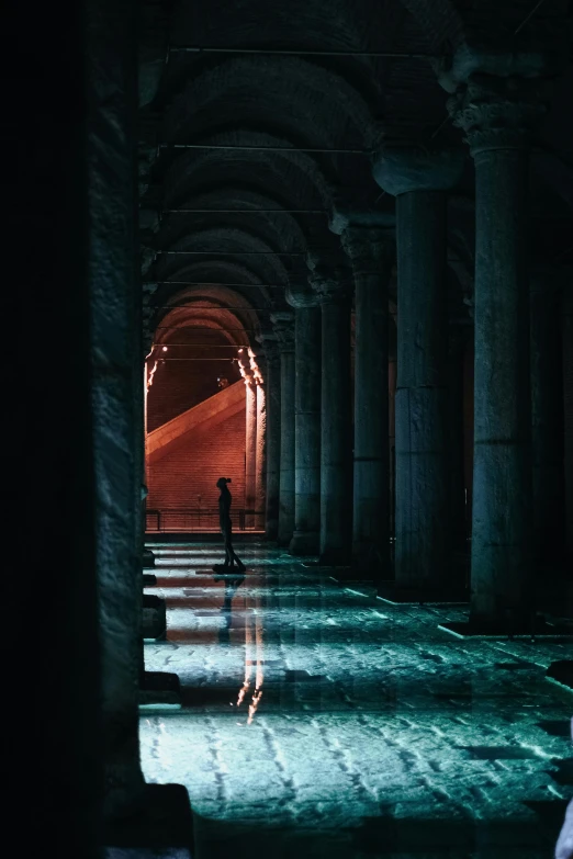 the hallway has several large columns and a long tunnel between them